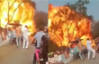 New Royal Enfield bike catches fire outside temple in Andhra Pradesh, Watch